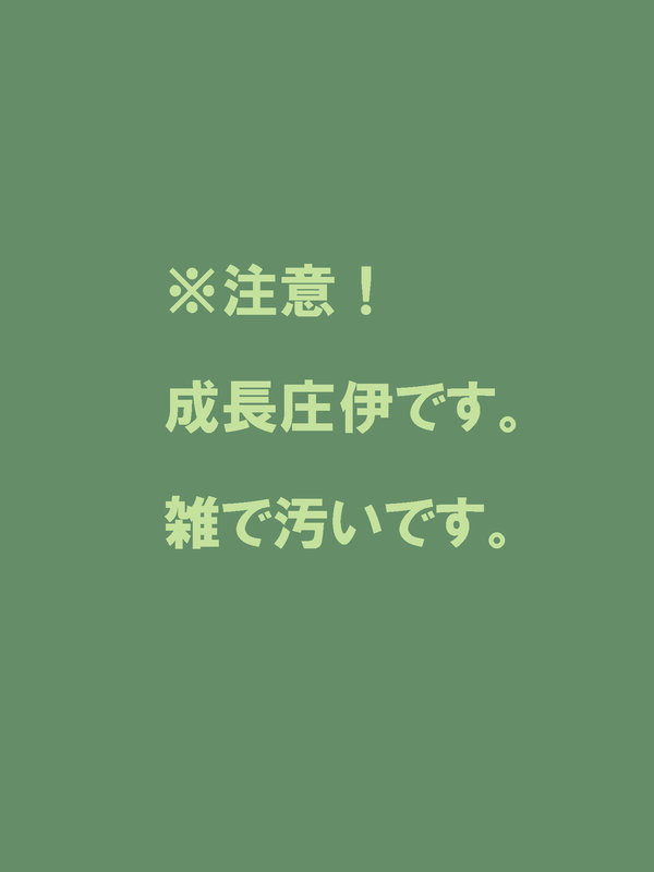 【成長庄伊】怖いもの。