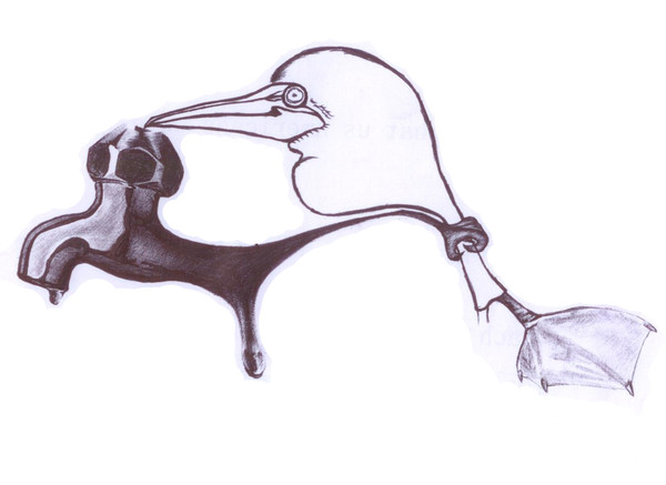 Faucet and boobies