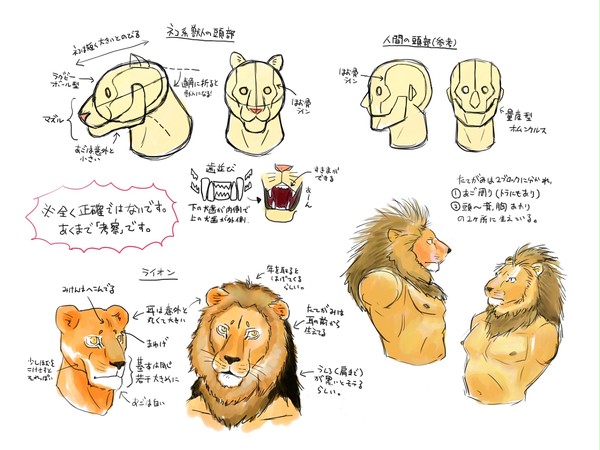 ライオンとかの頭考察