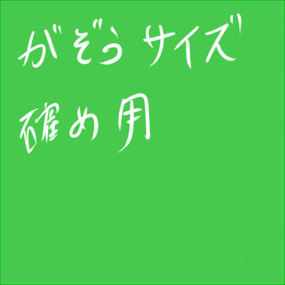サイズ確認