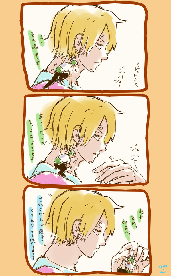 続・手乗りゾロ【腐】