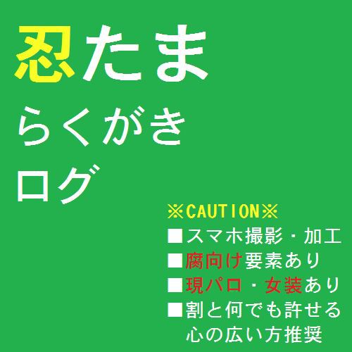 【アナログ】忍たまらくがきログ