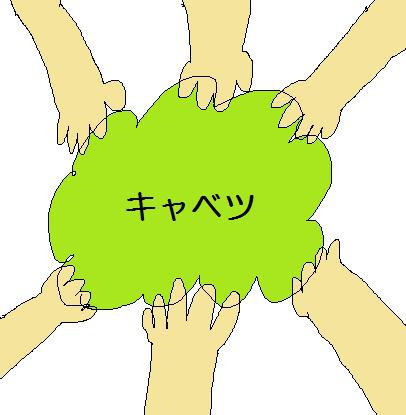 キャベツ
