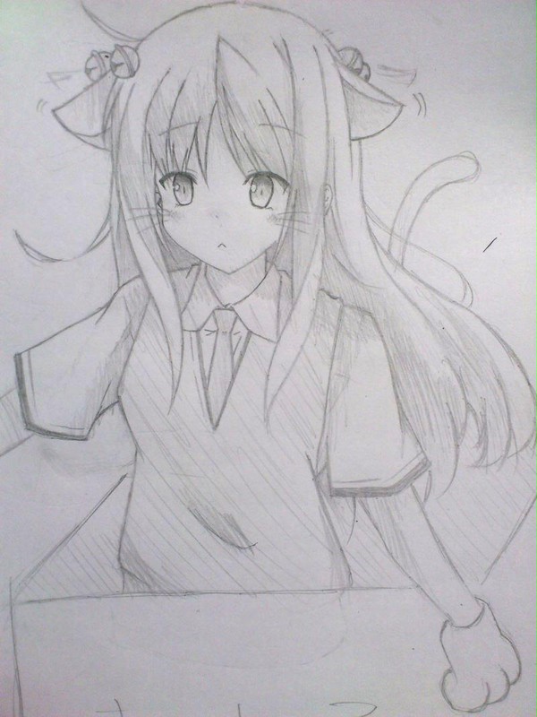 ましろ（猫？）