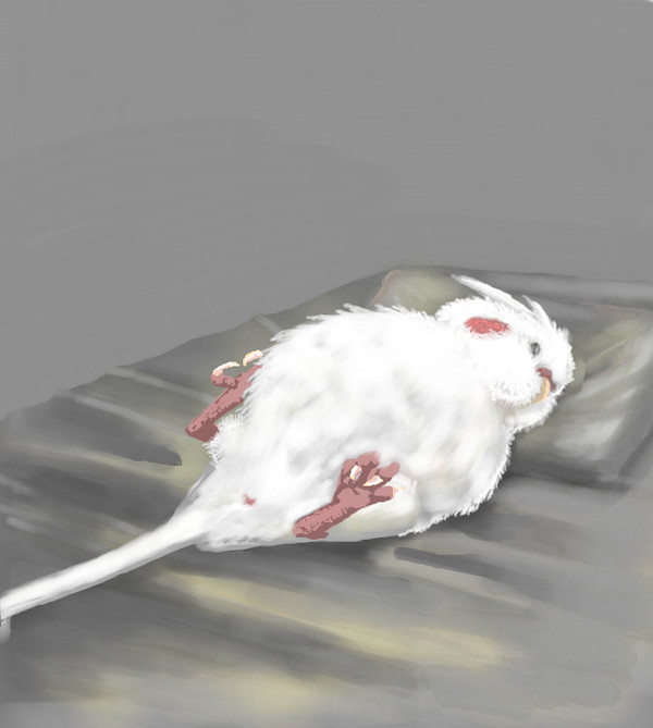 「好きにすればいいじゃない！」