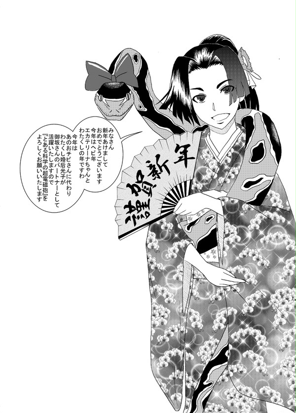 2013年年賀状用
