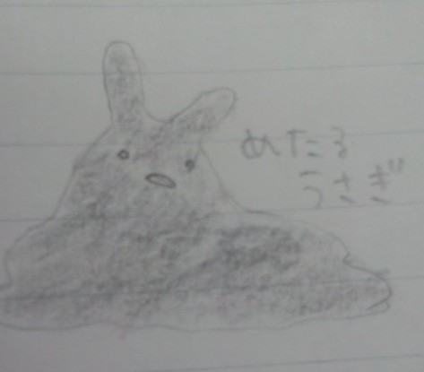 めたるうさぎ