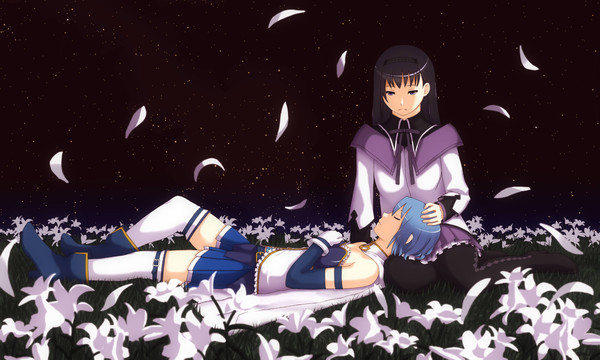 ほむまくら