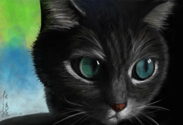 練習用猫