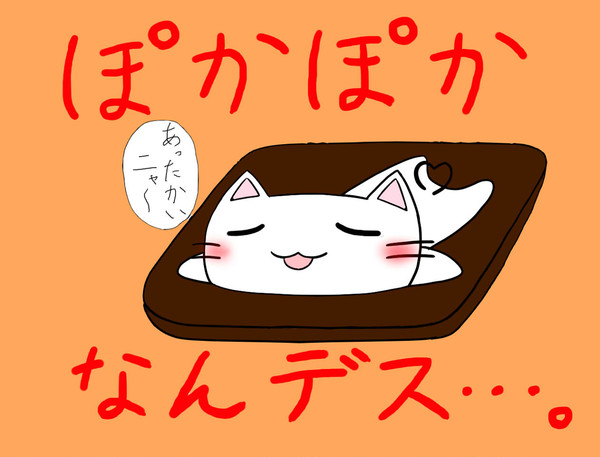 ぽかぽかなんデス・・・。