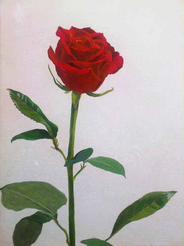 描写練習