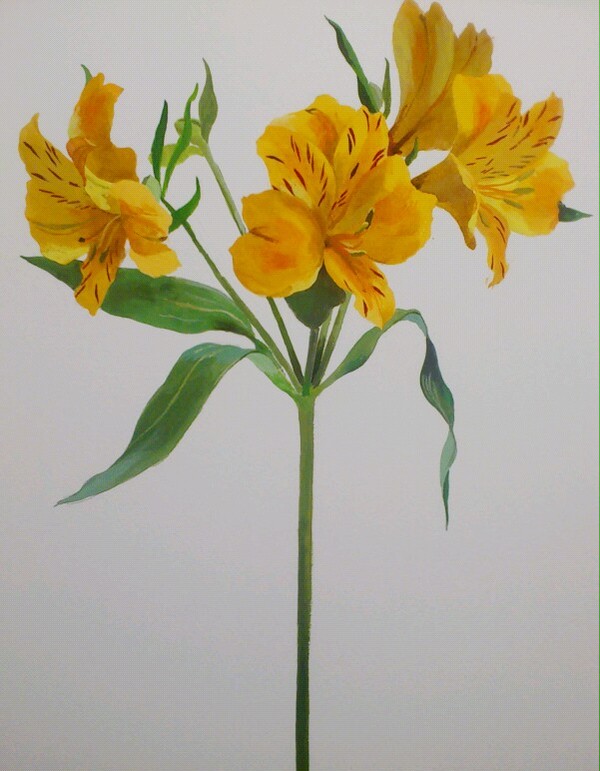 例の花