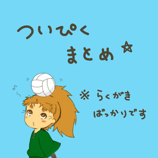 ついぴくまとめ