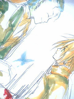D灰 ログ9