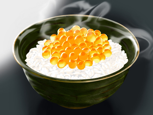 いくらDON