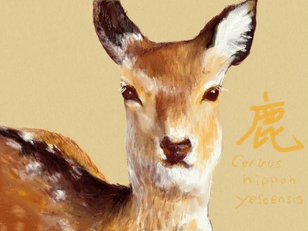 牝鹿 -mejika-