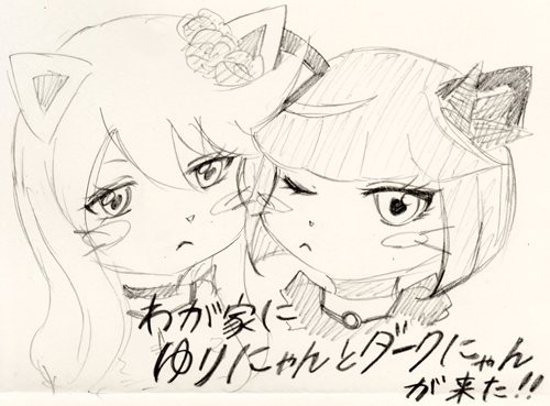 我が家にゆりにゃんとダークにゃんが来た！