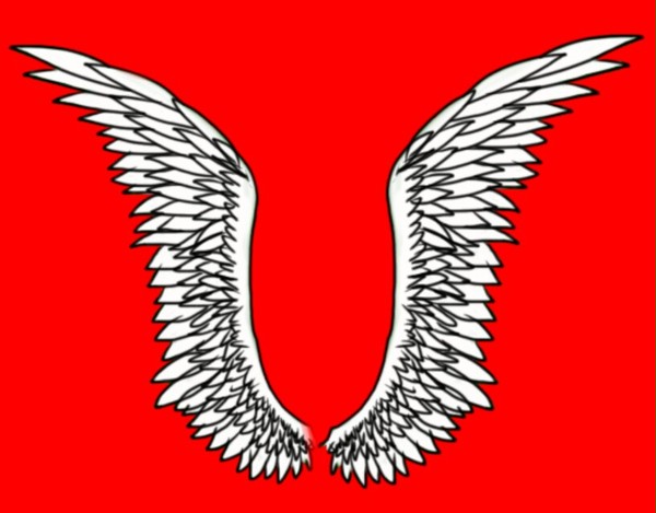 羽