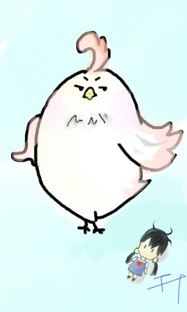 鸟