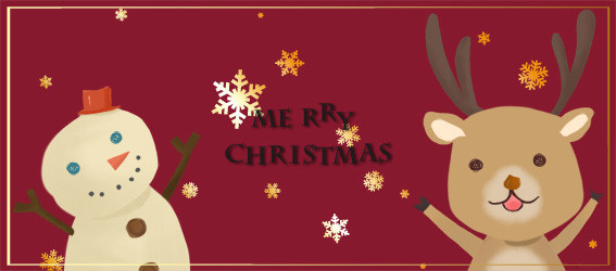 MERRY CHRISTMAS !