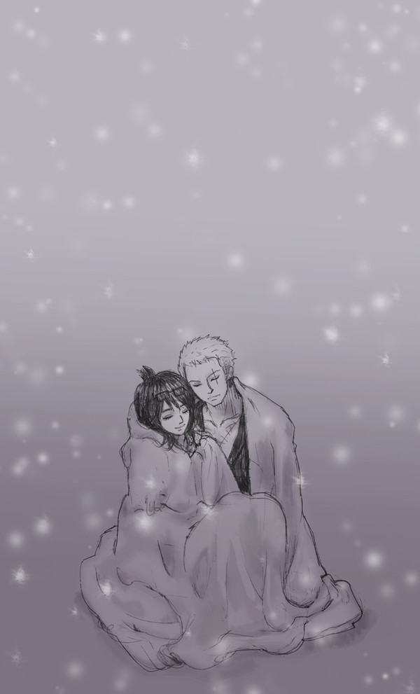 ゾロxたしぎ ver.2