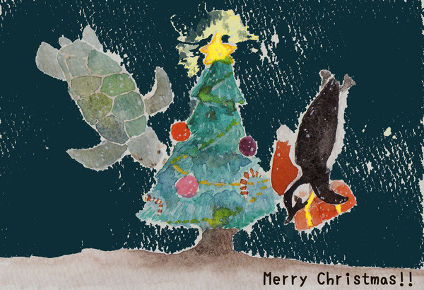 Aqua christmas