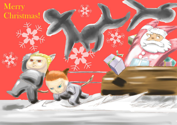 Christmas kittens' race