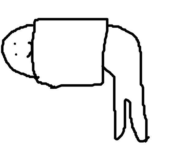 手品中だと思ったら元々胴無しで生きていた人