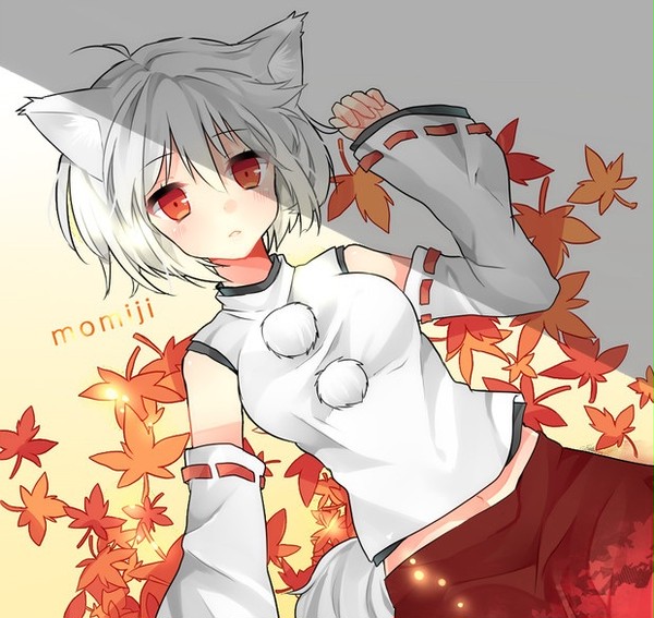 椛