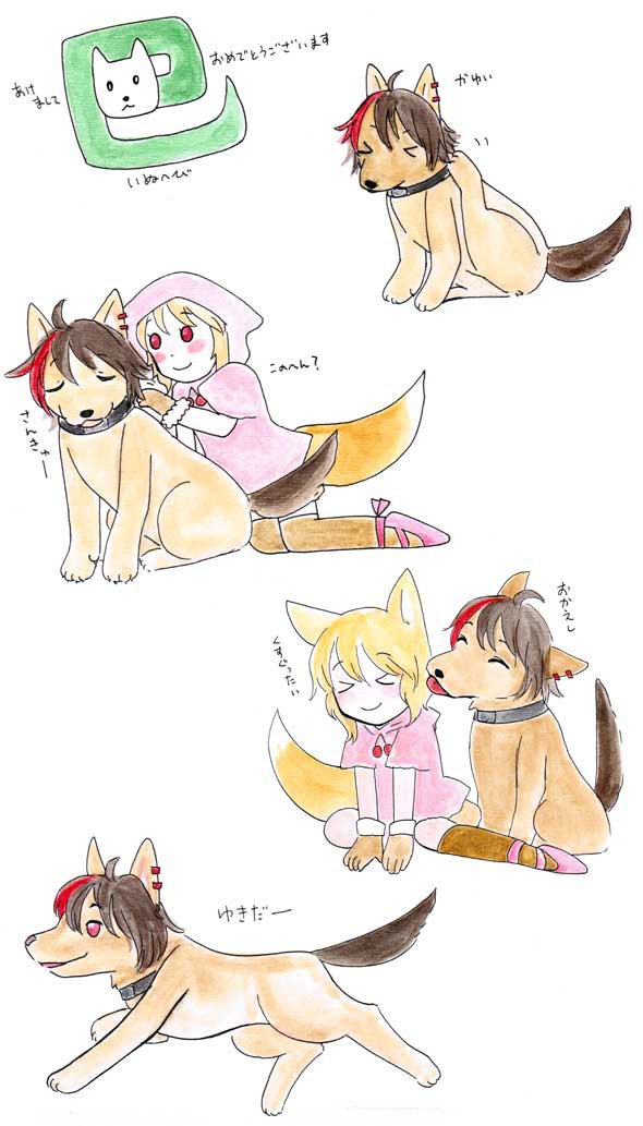イヌ科