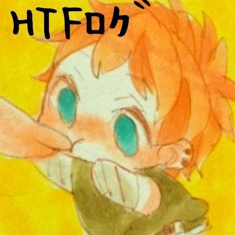HTFログ