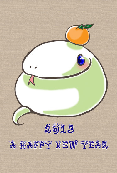 NEW YEAR 2013