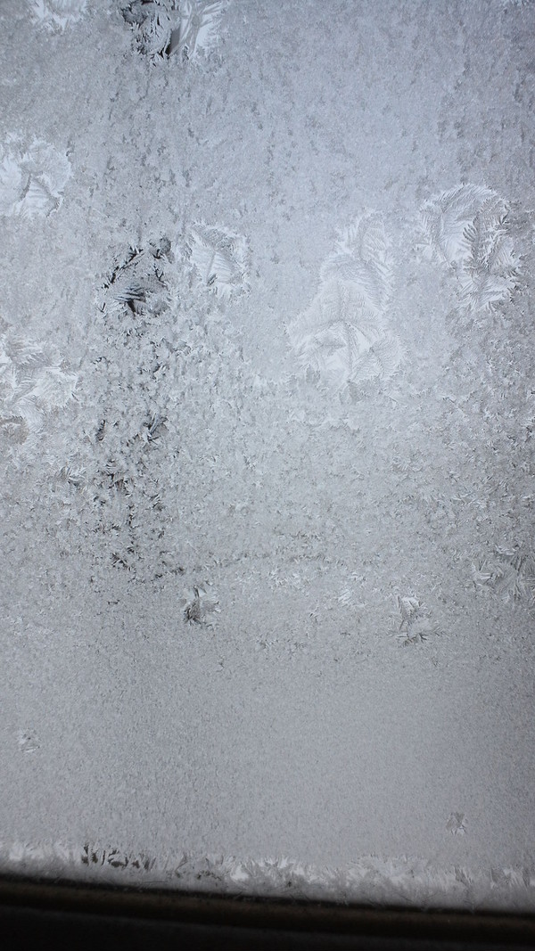 雪の結晶?みたいな面白いのが撮れました(∀)