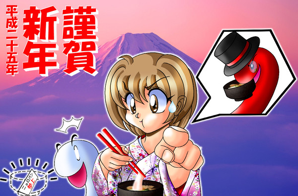 2013年　謹賀新年