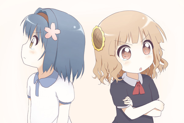 リバーシブル(物理)