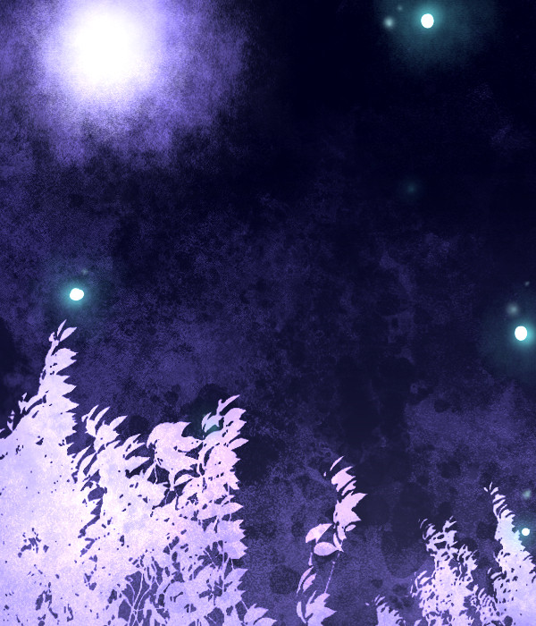【素材】夜空