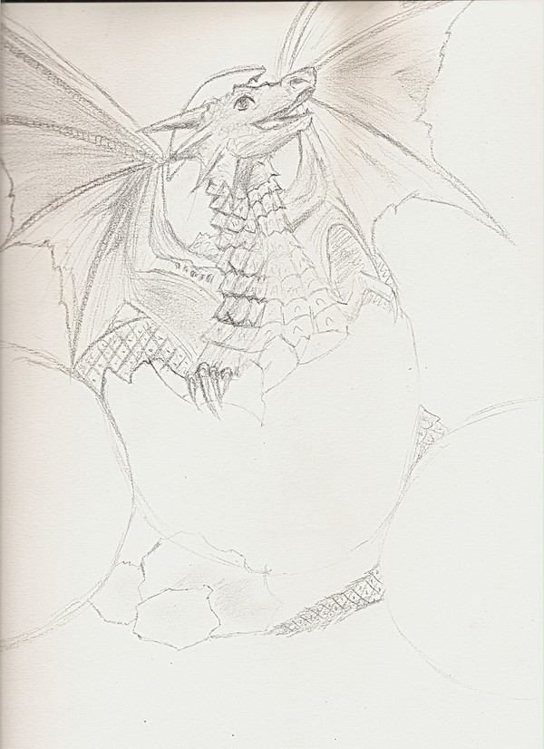 Baby dragon