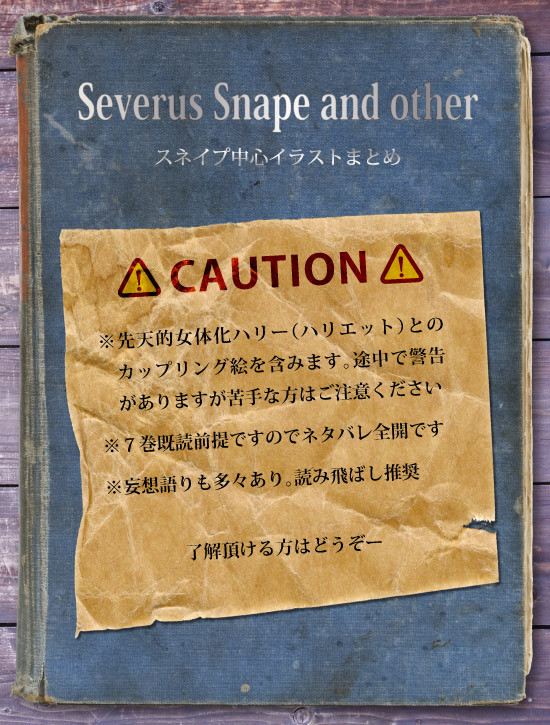 【誕生日】スネイプ中心ハリポタ絵詰め合わせ【にかこつけて】
