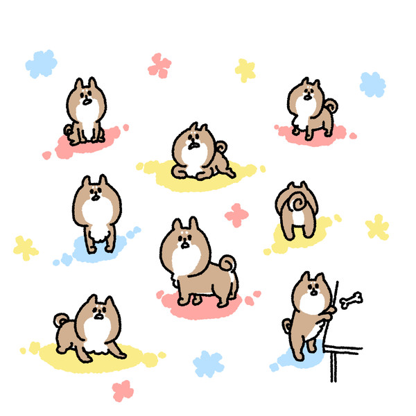 柴犬さん