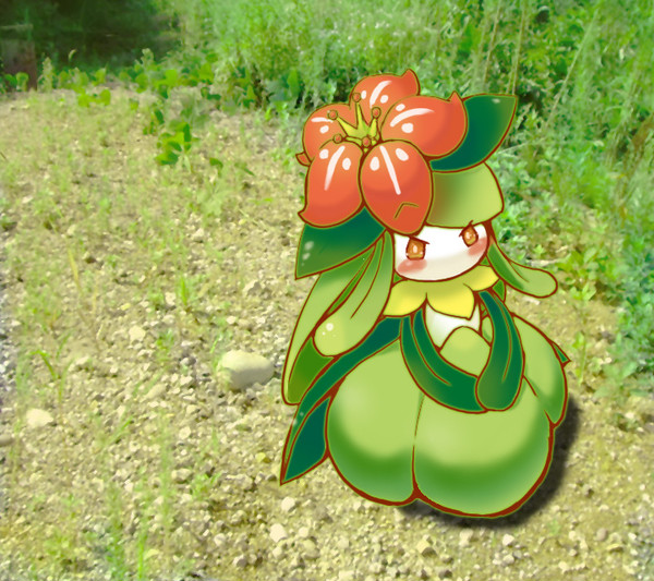ウチのいじっぱりなドレディアが可愛い