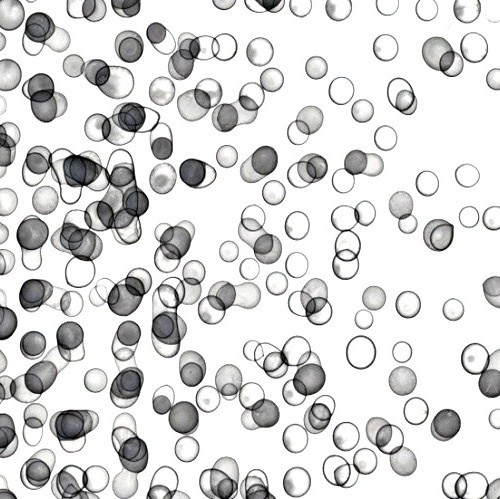 Cell-2