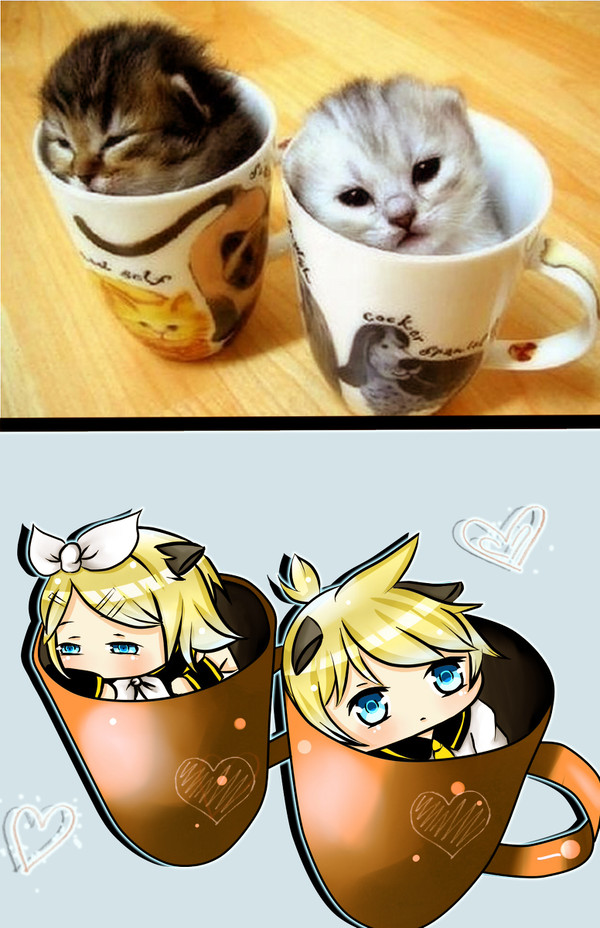 猫 猫 ボーカロイド