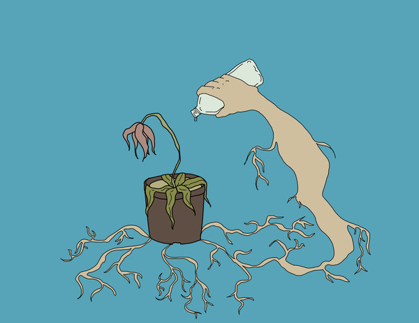 根っこ