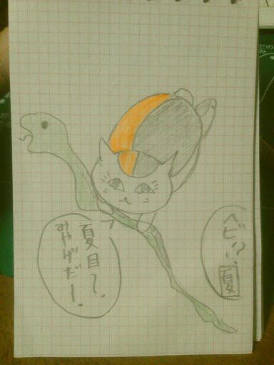 にゃんこ先生
