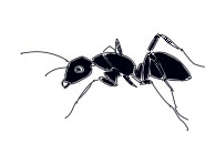 イリオモテヤマネコbot