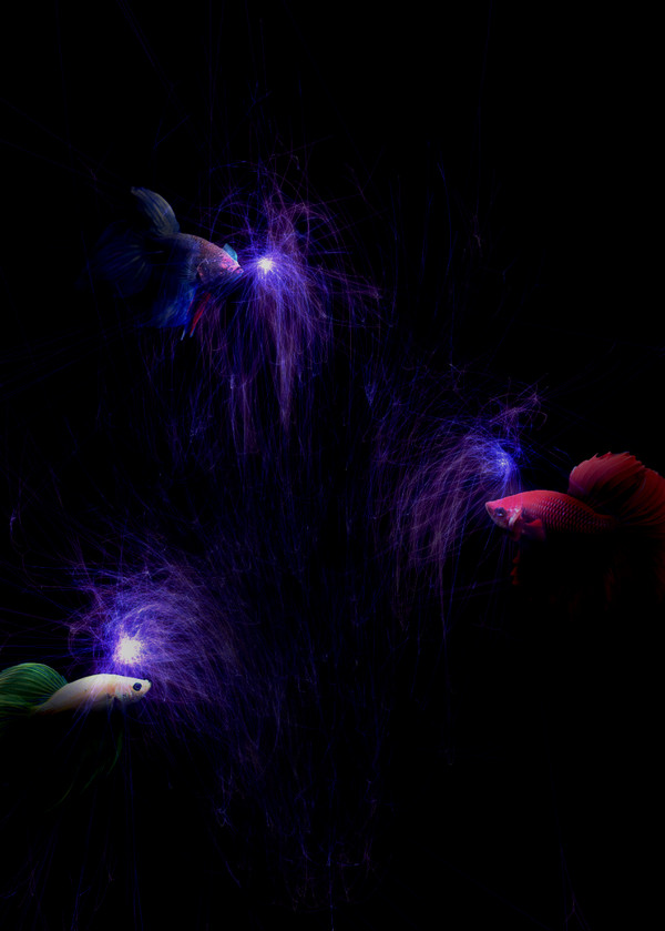 Gravity Flower