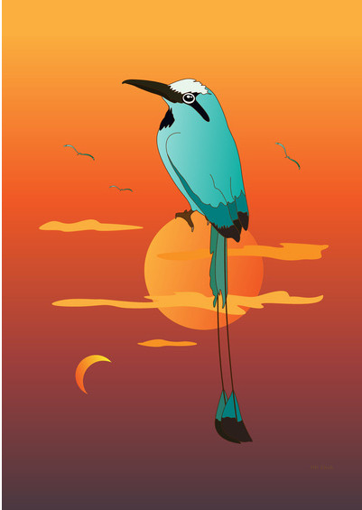 Oklahoma Bird
