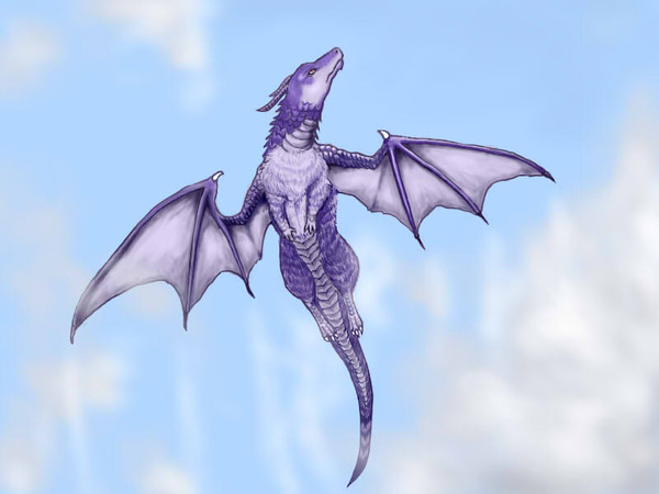 空中散歩