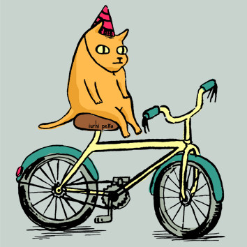 Gato en Bici