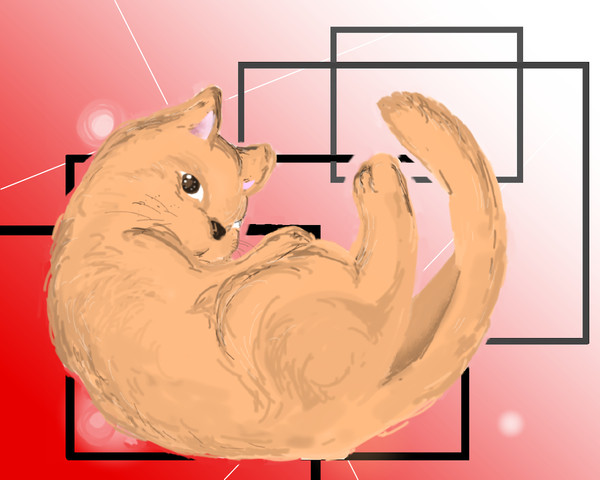 犬より猫派